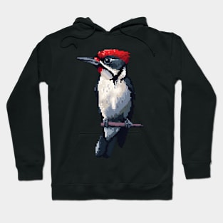 16-Bit Woodpecker Hoodie